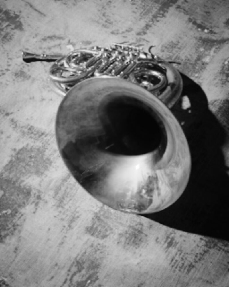 The horn's bell seen from above