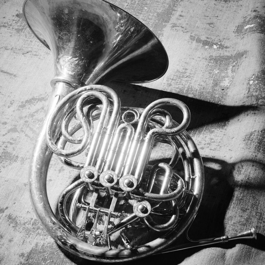 The custom horn resting upright in raking light