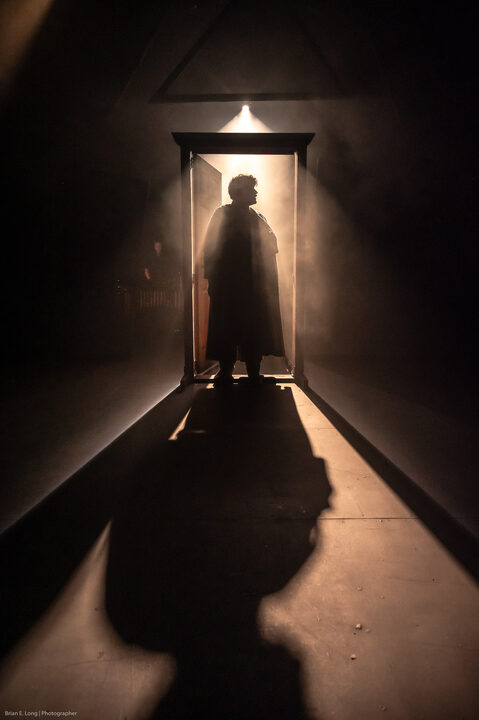 The Curious Case of Dr. Jekyll and Mr. Hyde performance photograph 199