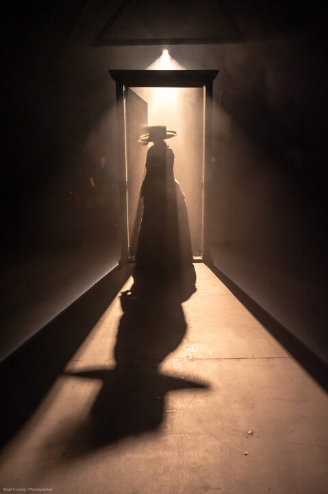 The Curious Case of Dr. Jekyll and Mr. Hyde performance photograph 202