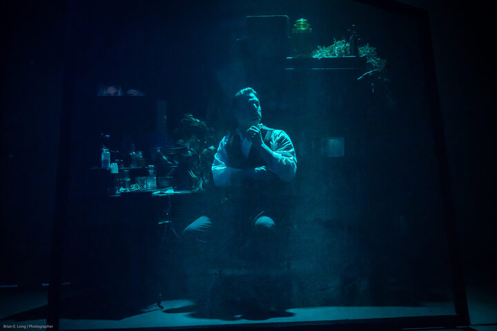The Curious Case of Dr. Jekyll and Mr. Hyde performance photograph 207